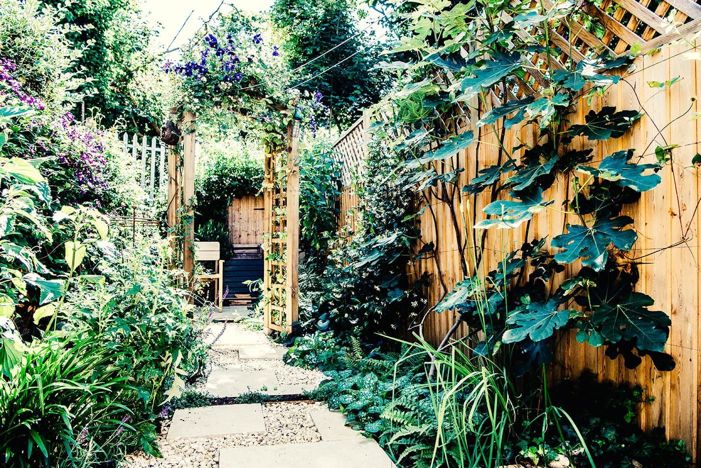 Narrow modern garden full of plants